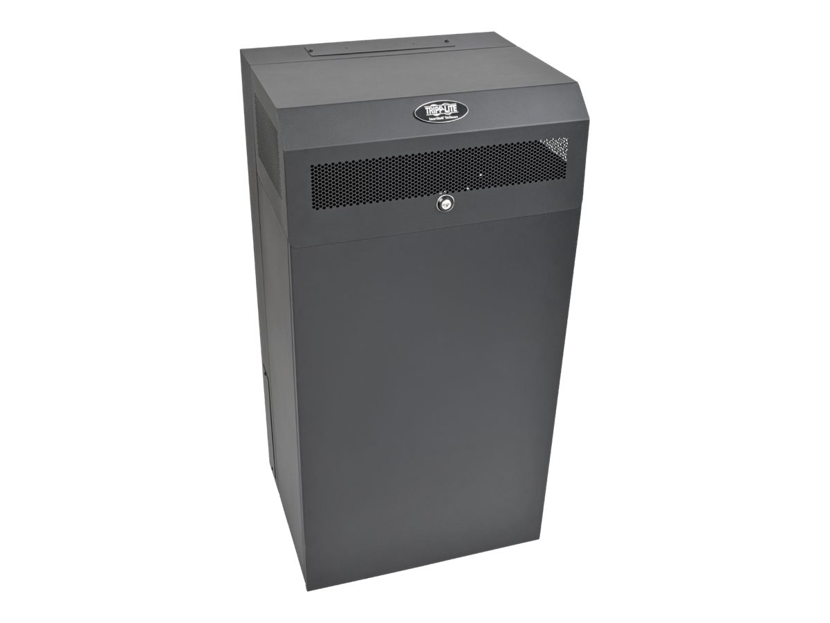 Tripp Lite 12U Wallmount Low Profile Vertical Rack Enclosure Server Cabinet