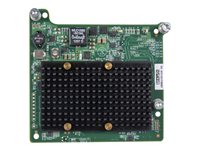 Hewlett Packard Enterprise  Option serveur  710608-B21