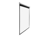 Alltec Screens Square Format Projection screen ceiling mountable, wall mountable 