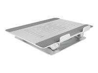 Delock Tablet and Laptop Stand Holder adjustable aluminium