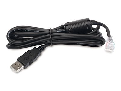 APC Kabel USB zu RJ45 - AP9827