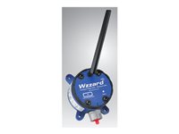 B+B SmartWorx Wzzard LRPv2 - wireless module - 4 AI, 2 DI, 1 DO, IP66, ext. antenna - LoRaWAN