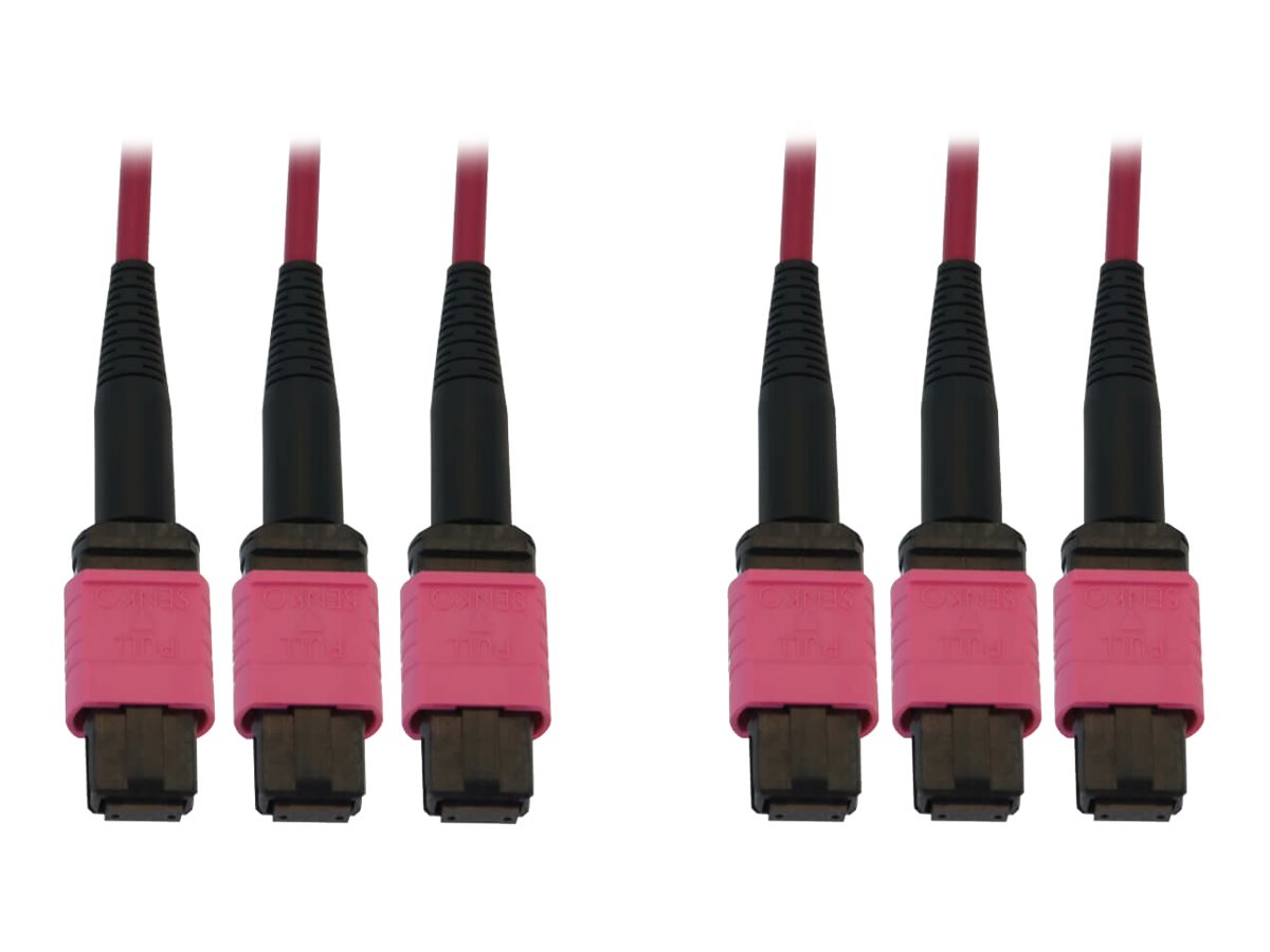 Eaton Tripp Lite Series 40/100/400G Multimode 50/125 OM4 Fiber Optic Cable (3x8F MTP/MPO-PC F/F), LSZH, Magenta, 45 m (147.6 ft.)