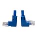 Tripp Lite Cat6 Patch Cable Up-Angled / Down Angled UTP Molded M/M Blue 1ft