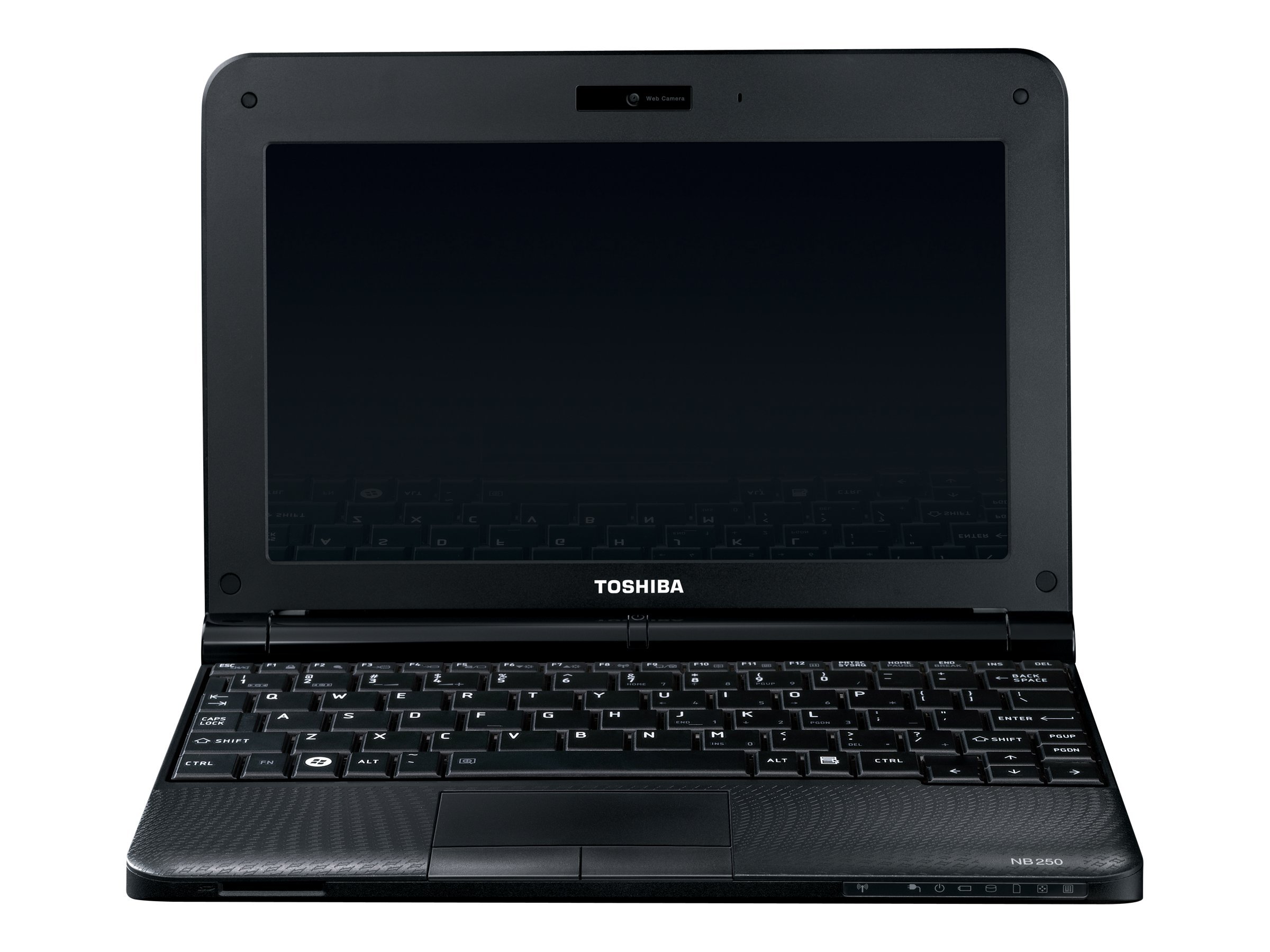 Toshiba NB250 (108)