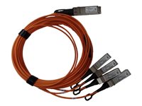 HPE Active Optical Cable - 40GBase direct attach cable - 5 m