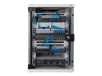 Digitus DN-10-09U - cabinet - 9U