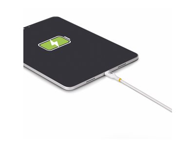 STARTECH 4m USB-C Ladekabel 240W PD
