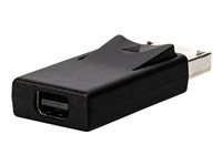 Adaptateur DisplayPort vers mini DisplayPort