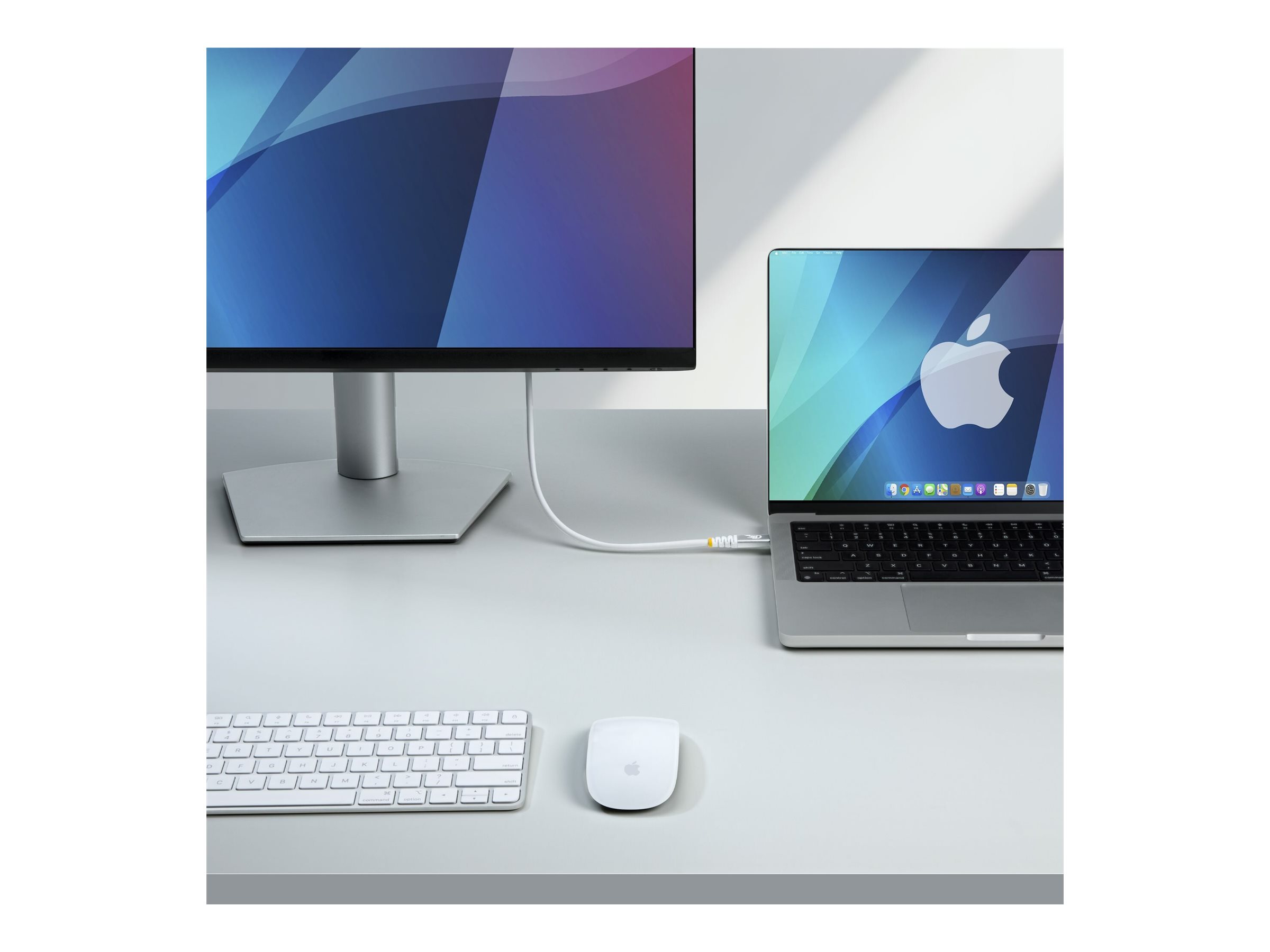 StarTech USB-C cable USB-C to USB-C 1.01 Usage / lifestyle Left-angle 72755