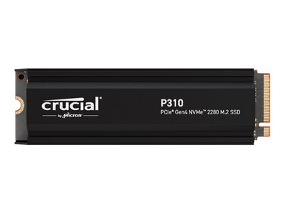 P310 - SSD - 1 TB - internal - M.2 2280 - PCIe 4.0