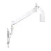 NEOMOUNTS FPMA-HAW100 Wall Mount