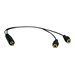 Eaton Tripp Lite Series 3.5mm Mini Stereo Cable adapter Y Splitter for Speakers and Headphones (M to 2x F) 1 ft. (0.31 m)