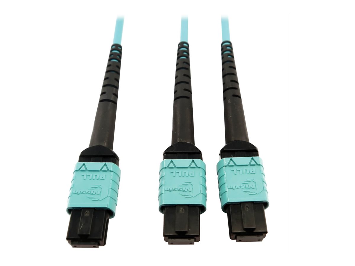 Eaton Tripp Lite Series 400G Multimode 50/125 OM4 Plenum Fiber Optic Cable, 24F MTP/MPO-PC to (x2) 12F MTP/MPO-PC (F/F), Aqua, 5 m