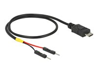 DeLOCK 5 pin Micro-USB Type B (male) - 2 pin USB-samlestykke (male) Sort 30cm USB / strøm kabel