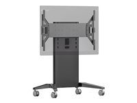 Salamander FPS Series X-Large FPS1XL cart - fixed - for interactive flat panel / touchscreen - graphite grey