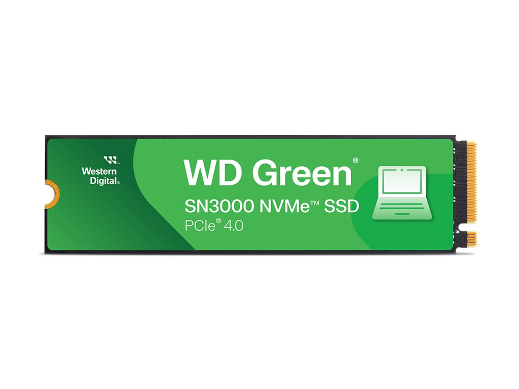 WD Green SN3000 WDS100T4G0E-00CPS0