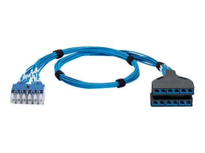 Panduit QuickNet SD Switch Port Harness | Overview, Specs, Details | SHI
