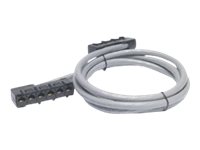 APC - Network cable - RJ-45 (F) to RJ-45 (F)