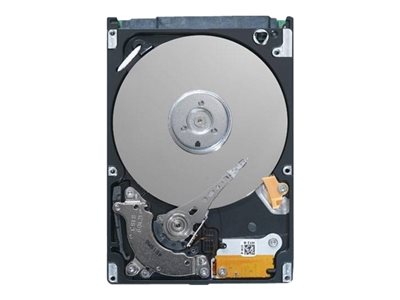 Dell - Hard drive - encrypted