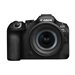 Canon EOS R6 Mark III