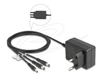 DeLOCK Adapter 10Watt