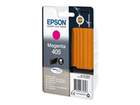 Epson 405