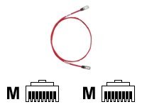 Panduit TX6 10Gig - Patch cable