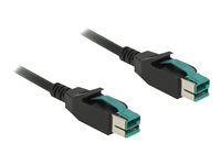 DeLOCK 8 pin USB PlusPower (12 V) (male) - 8 pin USB PlusPower (12 V) (male) Sort 5m Forstærket USB kabel