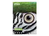 Epson Fine Art II - rag paper - matte - 25 sheet(s) - A3 Plus - 300 g/m²