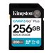 Kingston Canvas Go! Plus