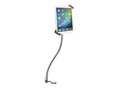 CTA Security Gooseneck Car Mount
