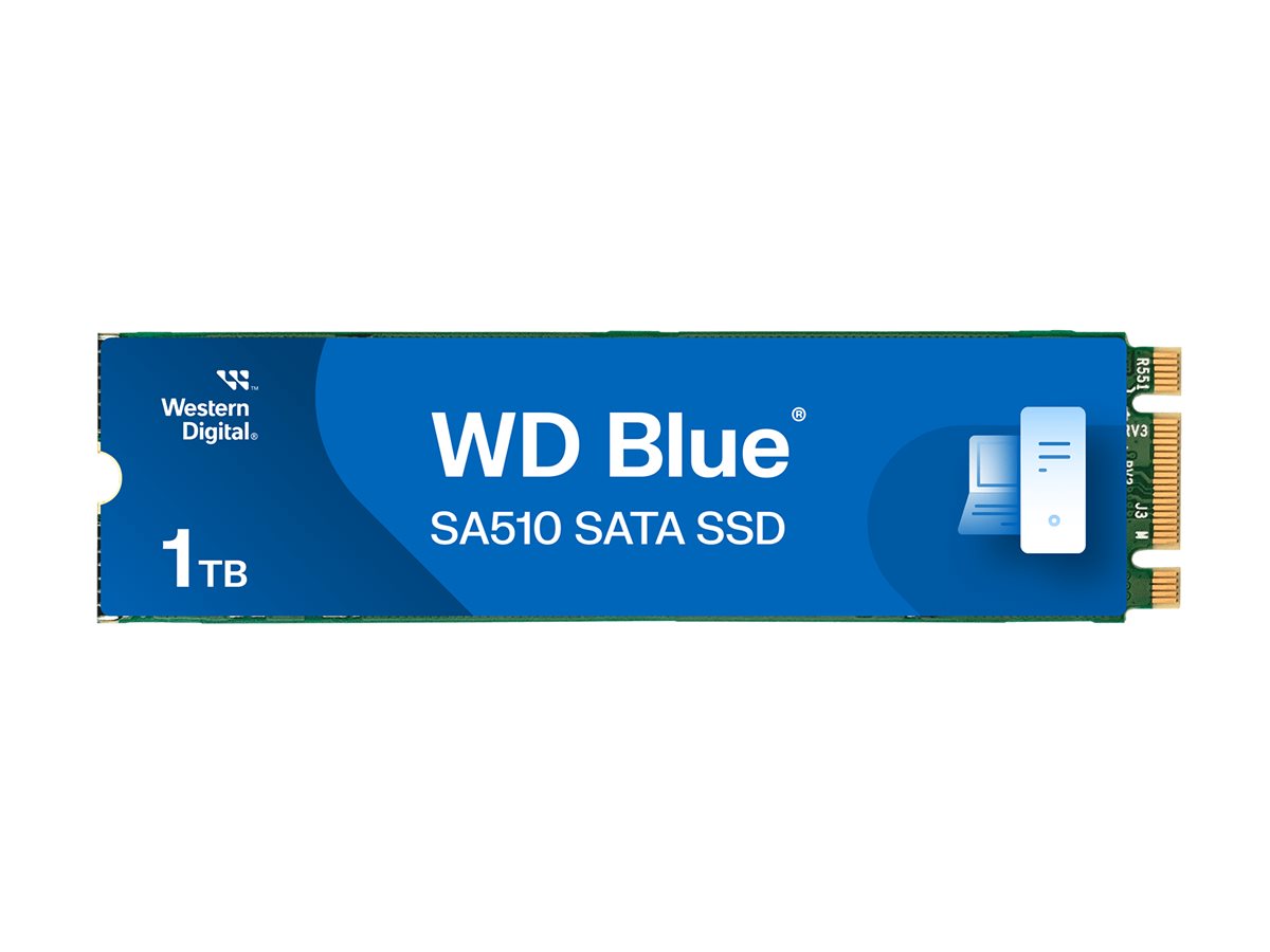 chappy WD Blue SA510 1TB SSD ほぼ新品 Amazon.com: Western