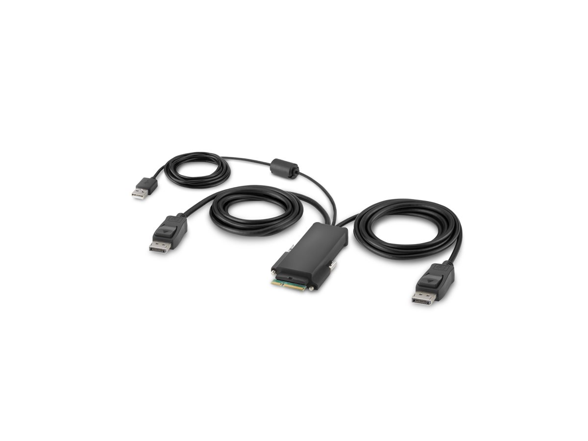 Belkin Secure Modular DP Dual Head Host Cable
