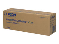 Epson Options Epson C13S051203