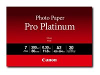 Pro Platinum PT-101 - photo paper - high-glossy - 