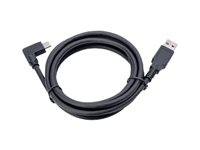 Jabra PanaCast USB-kabel 3m Sort
