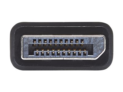 EATON TRIPPLITE DisplayPort to VGA/DVI