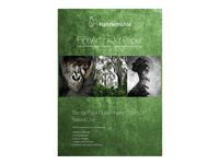 Hahnemühle Digital FineArt Sample Pack Natural Line - photo paper kit - 10 sheet(s) - DIN A4 (216 x 303 mm)