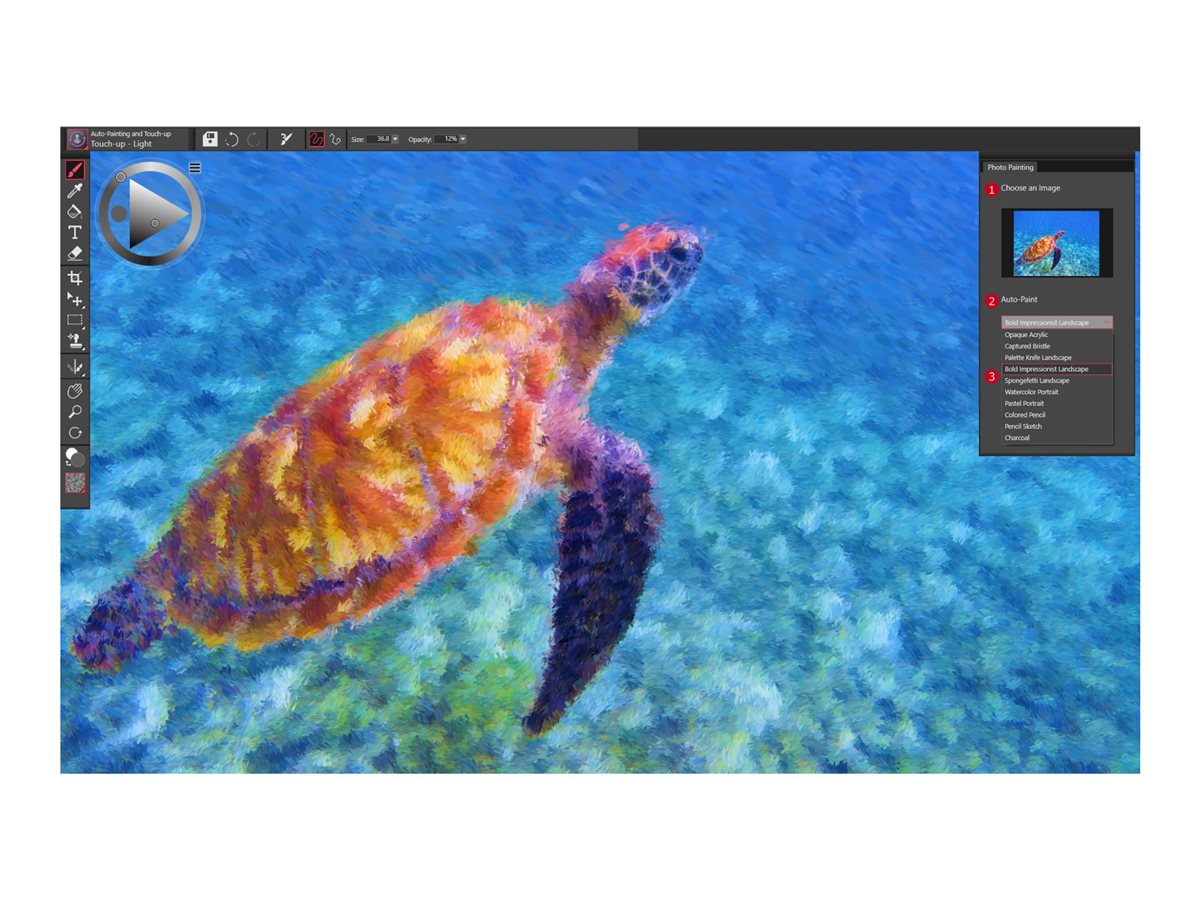 Act Key/Painter Essentials 8 – foto 3