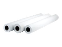 HP Everyday Polypropylene (PP) matte 203 micron white Roll (60 in x 200 ft) 120 g/m² 