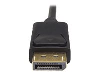 Cable Matters Unidirectional DisplayPort to HDMI Cable 35 ft, Gold-Plated  DP to HDMI Cable, Display Port to HDMI Adapter Cable, 35 Feet