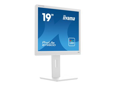 IIYAMA B1980D-W5, Monitore TFT Consumer- & Gaming IIYAMA  (BILD2)