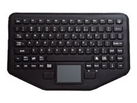 iKey SkinnyBoard SB-87-TP-M Keyboard backlit USB