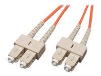 Eaton Tripp Lite Series Duplex Multimode 62.5/125 Fiber Patch Cable (SC/SC), 12M (39 ft.)