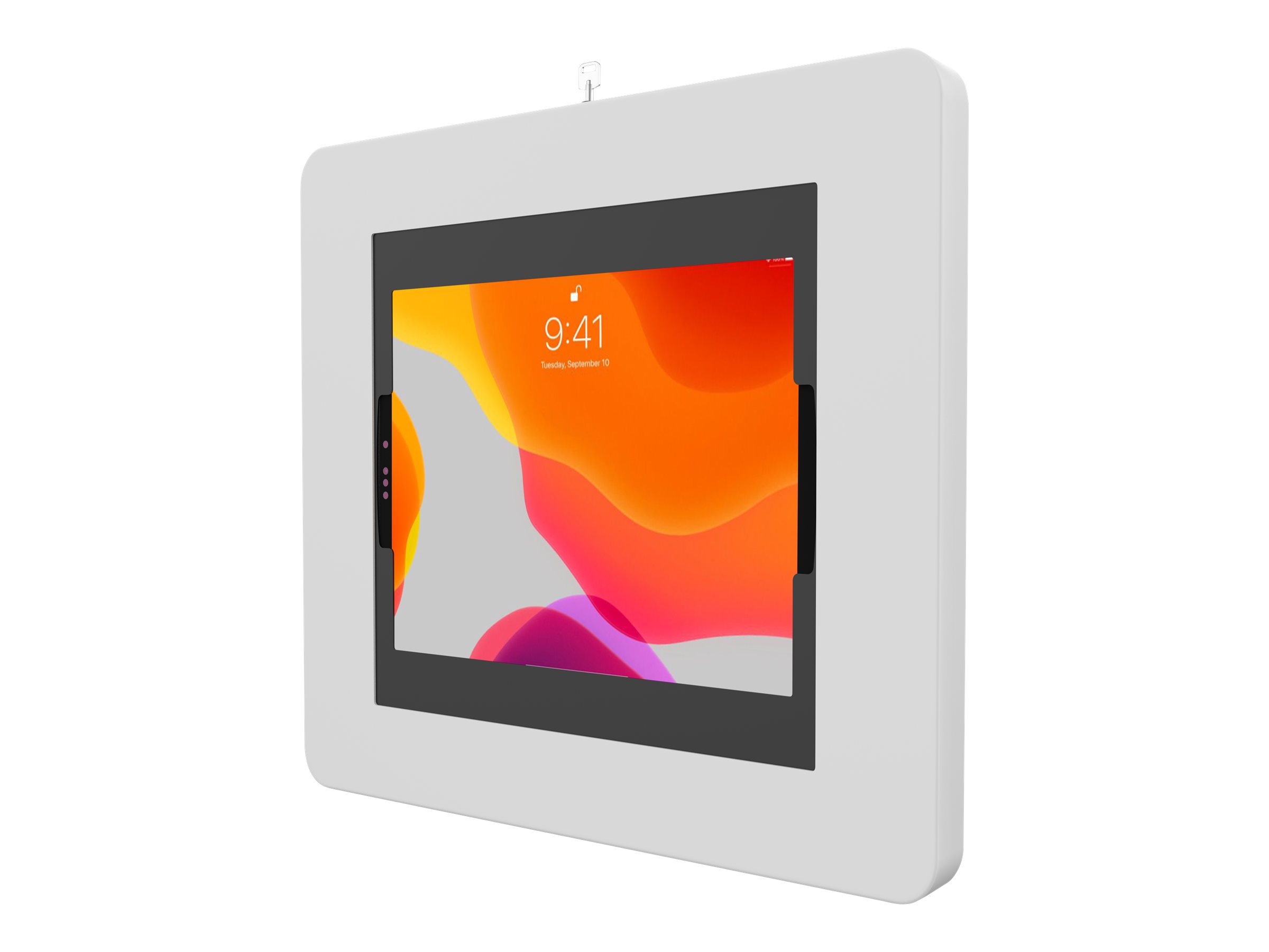 CTA Premium Large Locking Wall Mount