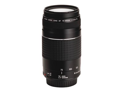 Canon EF - Telephoto zoom lens