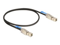 DeLOCK Serial Attached SCSI (SAS) eksternt kabel Sort 2m