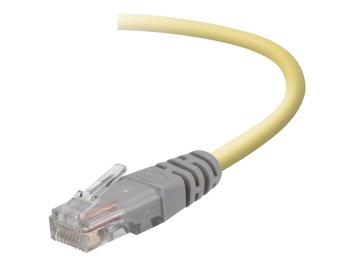 Belkin - Crossover cable
