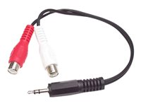 StarTech.com 6in Stereo Audio Y-Cable - 3.5mm Male to 2x RCA Female - Headphone Jack to RCA - Computer / MP3 to Stereo 1x Mini-Jack 2x RCA (MUMFRCA) Audiokabel Sort 15.24cm
